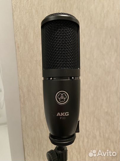 Микрофон akg p120
