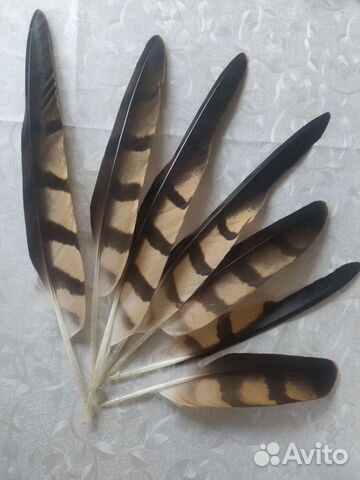 Перо птицы,наборы для рукоделия и творчества
