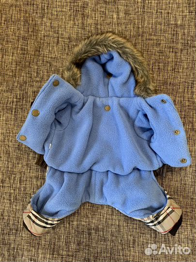 Одежда для собак