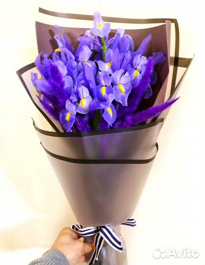 Букеты из Ирисов 9/15/25/35/51/101 шт