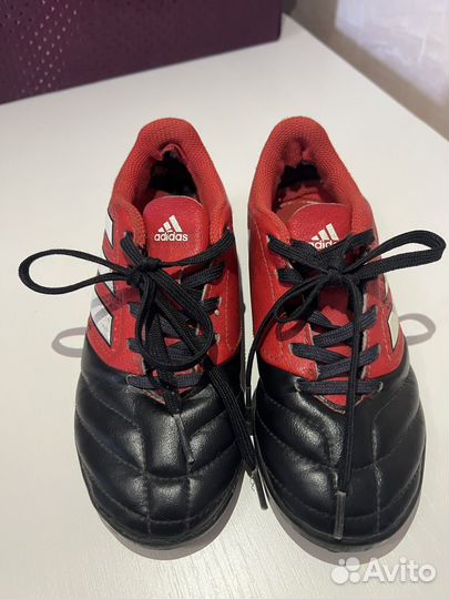 Сороконожки