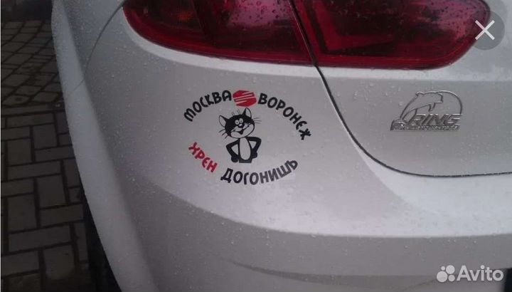 Наклейка Воронеж не догонишь на авто