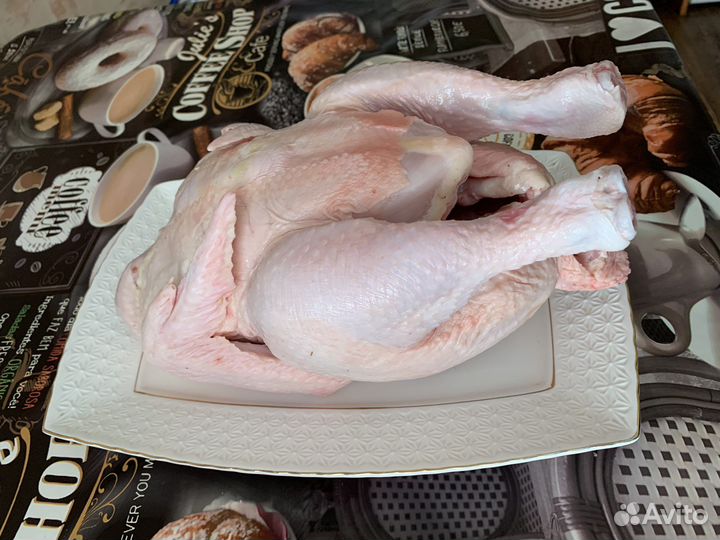 Мясо домашней птицы