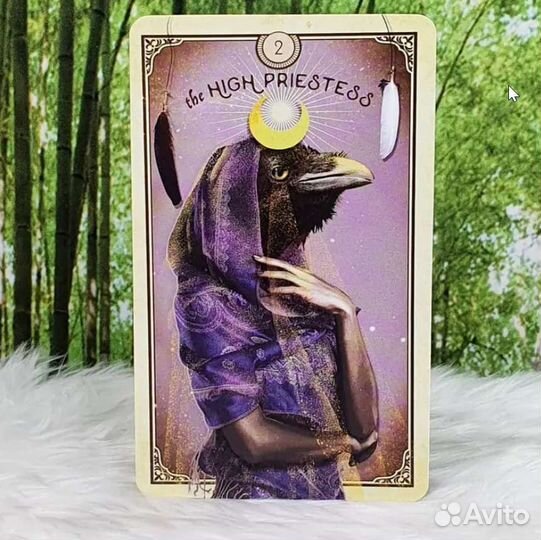 Таро Любопытных Существ Tarot Curious Creatures