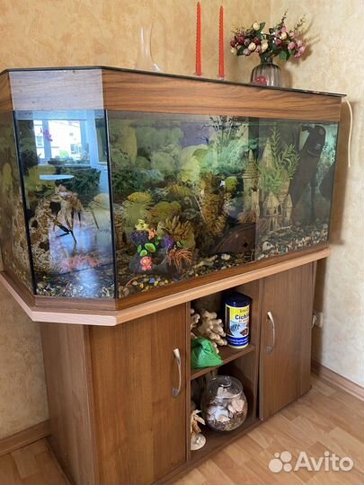 Аквариум 300 литров