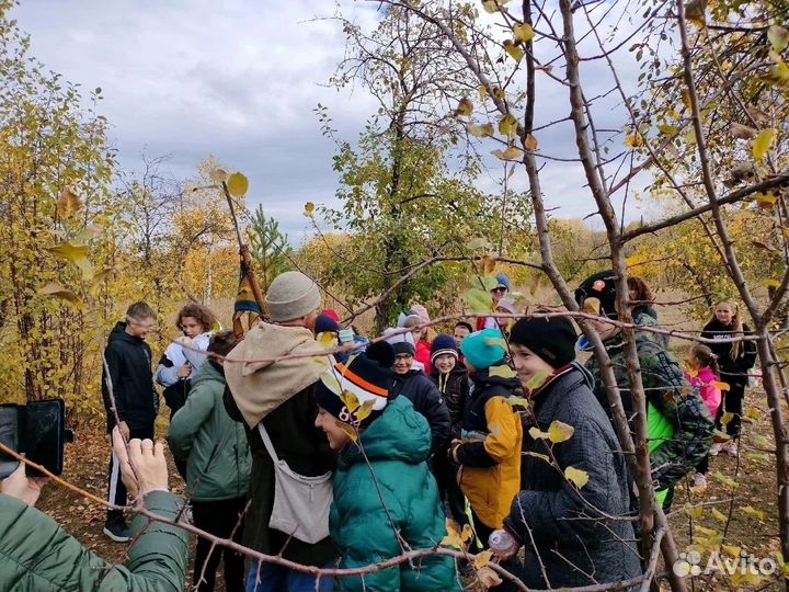 Школьная экскурсия в Гардарику