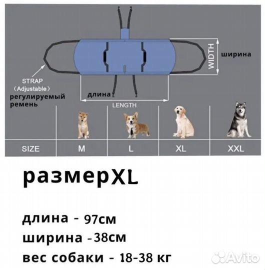 Упряжь-шлейка для неходящих собак