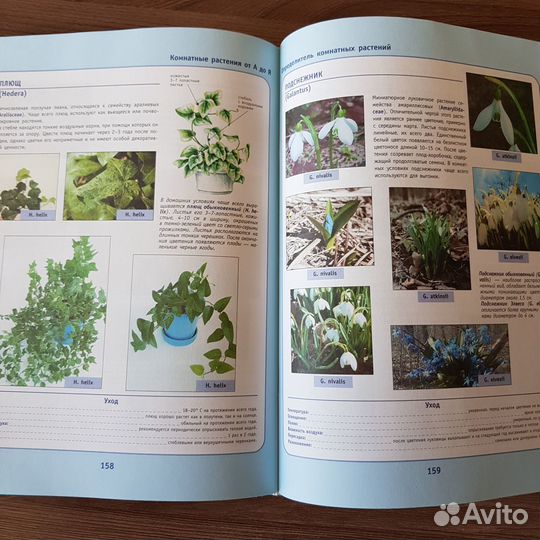 Книга Комнатные растения в вашем доме