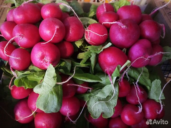 Овощи и бакалея с доставкой