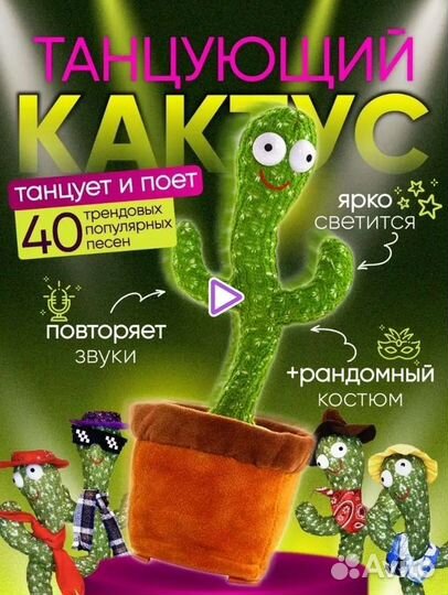 Танцующий кактус новый