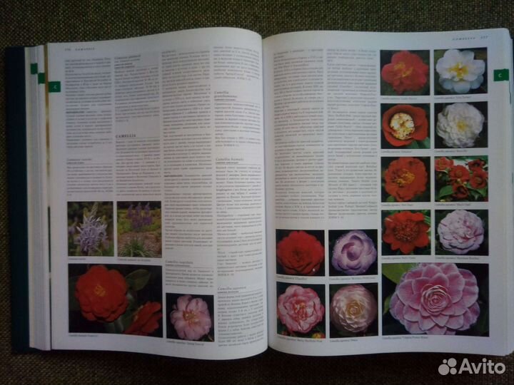 Книга 10 000 Растений Konemann