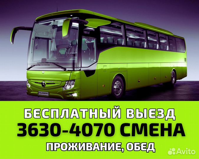 Оператор линии, Вахта Индилайт 15 смен выезд
