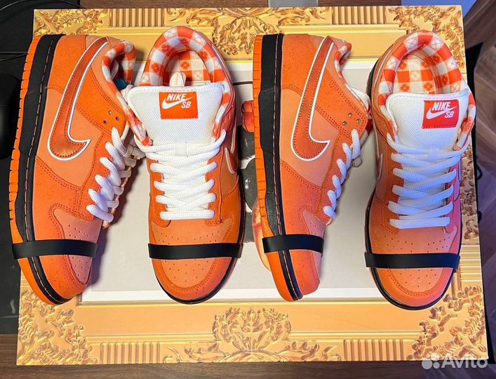 SB Dunk Low Concepts Orange Lobster