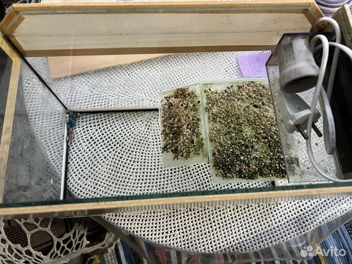 Террариум для красноухой черепахи