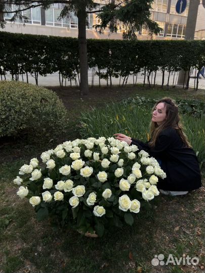 Белые розы Заказать розы с доставкой Цветы