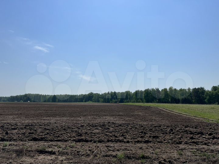 Участок 30 га (СНТ, ДНП)