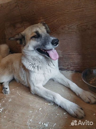 Молодая Пайпер никому не нужна