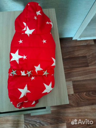 Одежда для собак