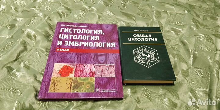 Анатомия человека