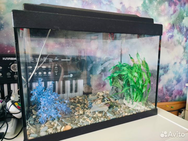 Аквариум