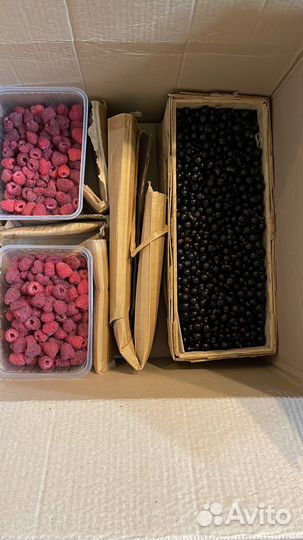 Вишня ягода последний сбор