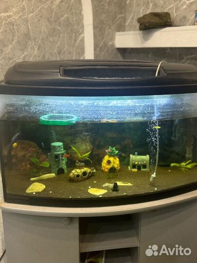 Аквариум
