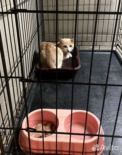 Помогите спасти