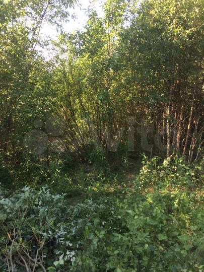 Участок 10 сот. (СНТ, ДНП)