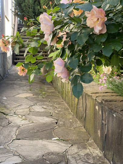 Дом 115 м² на участке 12 сот.