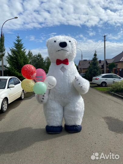 Поздравление от мишки. Большой медведь