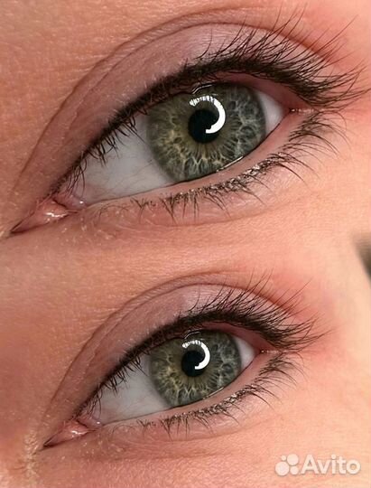 Модель на перманент