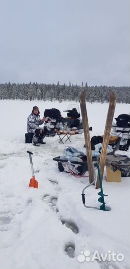 Поездки на снегоходах