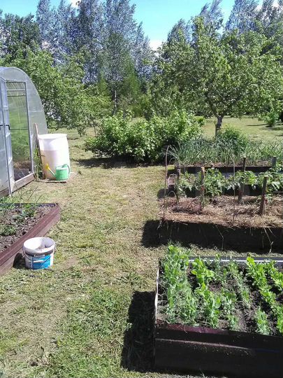 Дача 20 м² на участке 16 сот.