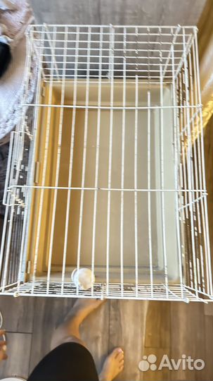 Клетка для кролика морской свинки