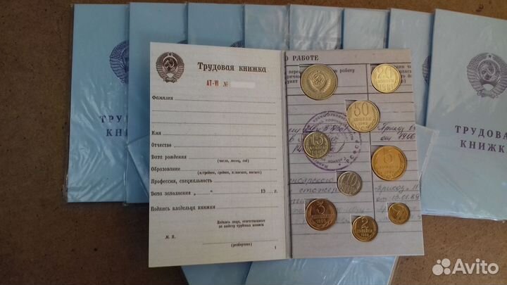 Альбом «Трудовая книжка» для монет