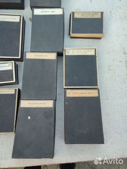 Стекла для микроскопа СССР