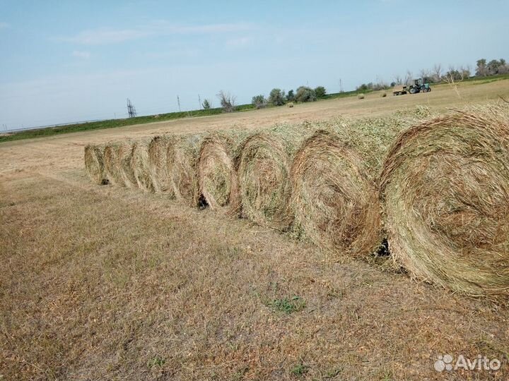 Сено в рулонах