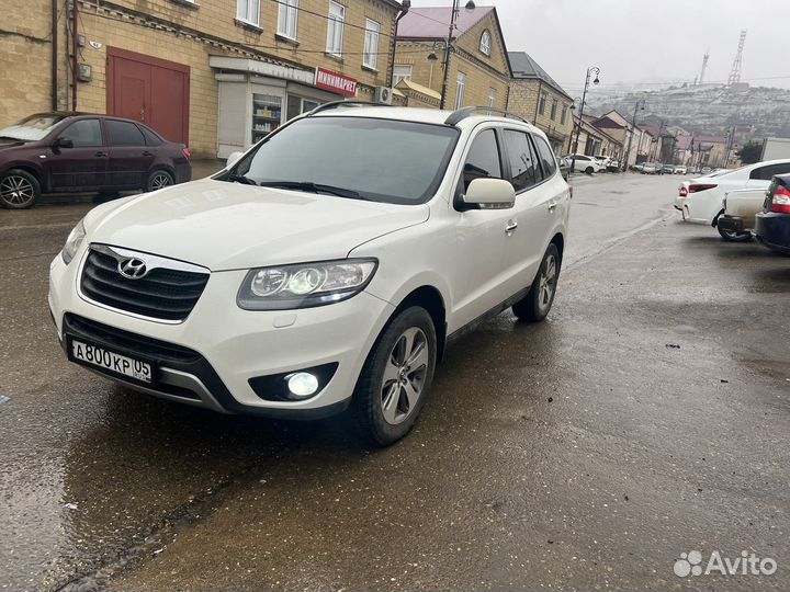 Перевозки трансфер