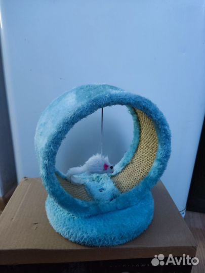 Когтеточка и игрушка для кошки