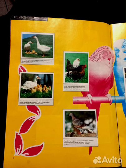 Журнал для наклеек 