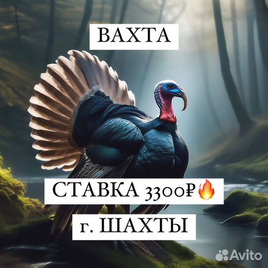 Мойщик/Вахта в Шахтах/Птицефабрика/3-х раз.питание