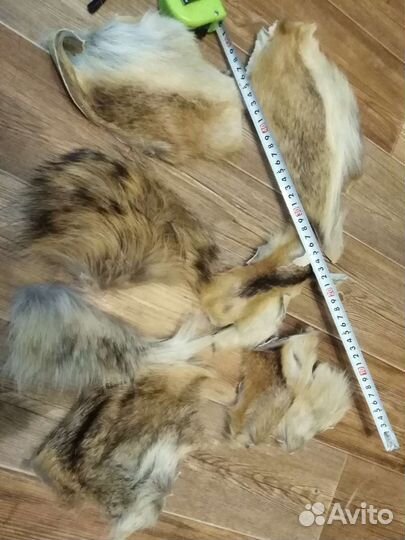 Лапа, шкурки, мех, кунка волка, лисы (имитация)