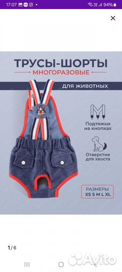 Трусики - шорты для собак и кошек