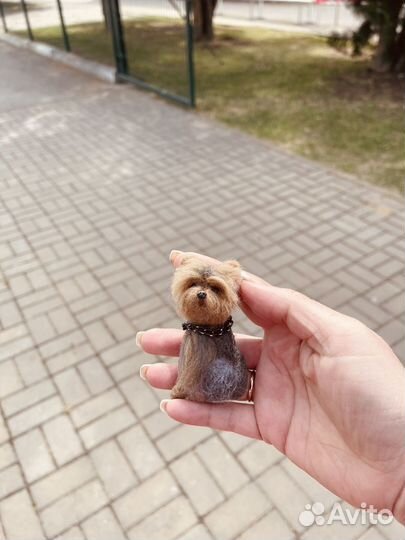 Брошка йорк