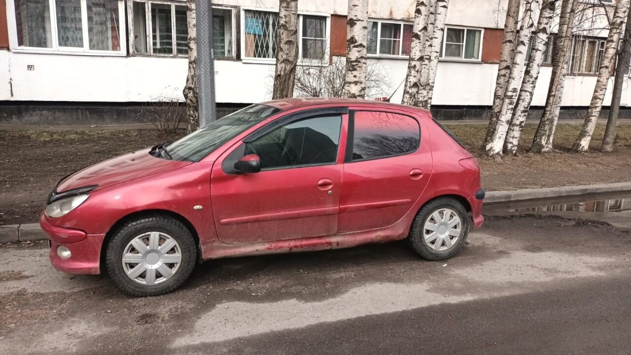 Peugeot 206: фото владельца