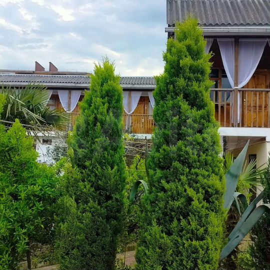 Комната 18 м², 2/2 эт.