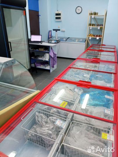 Голец н/р Камчатка