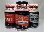 Курс Iron Mass+Iron Test+Iron Ecdisten