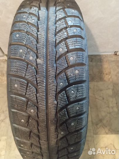 Gislaved Nord Frost 5 195/65 R15 91T