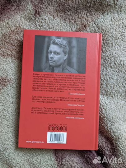 Покров 17 Александр Пелевин